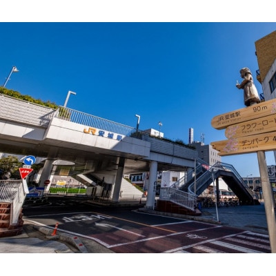 安城市の空き家見守りサービス(年4回・外観チェック＆写真報告)