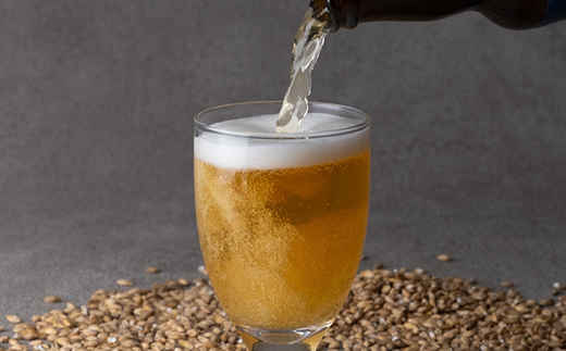 安城デンビール4種4本詰め合わせセット【配送不可地域：離島】