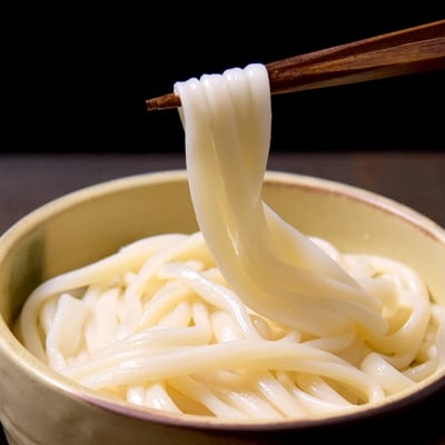 和泉手延べ麺　たつみ麺店の半生もどし長うどん(18人前)