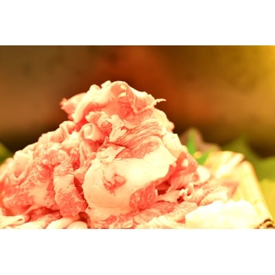 愛知県安城市産　安城和牛　切り落とし　300g×2パック【配送不可地域：離島】