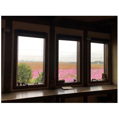 自家焙煎コーヒー豆(スペシャルティブレンド＆マンデリン)とパティシエの焼き菓子　詰め合わせ