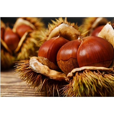 デ・レーヴの毬栗ショコラテリーヌプリン【配送不可地域：離島】