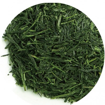 百年茶樹　善一郎(玉露)