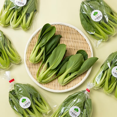 大橋農園のベビーチンゲン菜:3株入り×6袋【配送不可地域：離島】