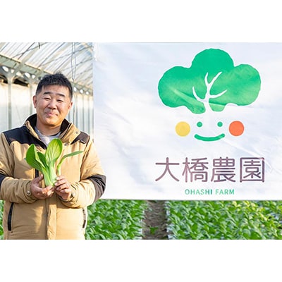 大橋農園のベビーチンゲン菜餃子 25個入×2袋 冷凍【配送不可地域：離島】