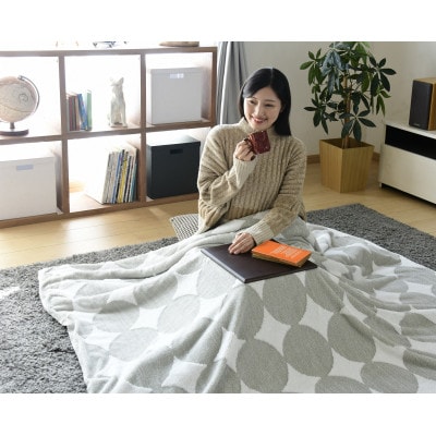 愛知県安城市　天板付き一人用こたつ　MPQ-102B(B)