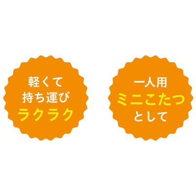 愛知県安城市　一人用こたつ　MPQ-100(B)