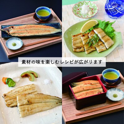 みかわ安城うなぎ　大きな白焼き　2尾【配送不可地域：離島】