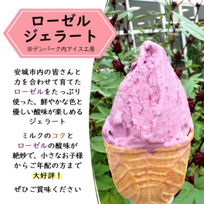 デンパーク入園券2枚+ローゼルジェラート引換券2枚/愛知県安城市