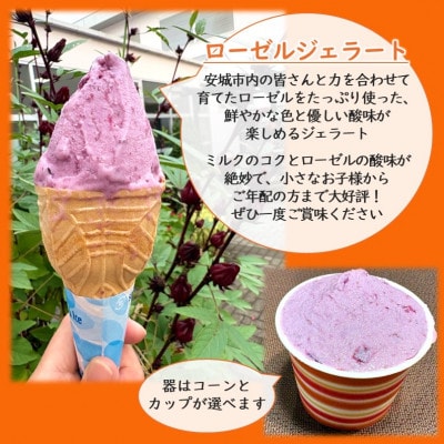 デンパーク入園券2枚+ローゼルジェラート引換券2枚+パン作り体験1枚+ソーセージ引換券/愛知県安城市