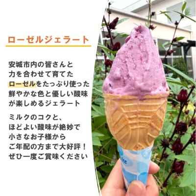 デンパーク入園券2枚+ローゼルジェラート引換券2枚+パン作り体験券1枚/愛知県安城市