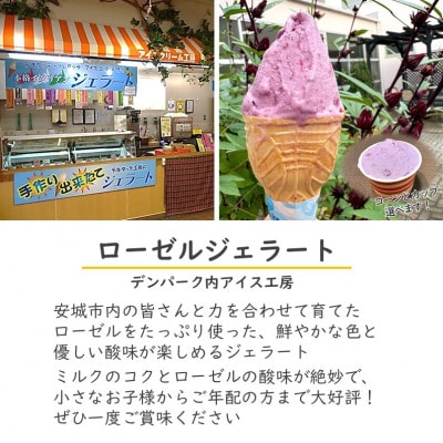 デンパーク入園券2枚+ローゼルジェラート引換券2枚+マグカップ絵付け体験券1枚/愛知県安城市