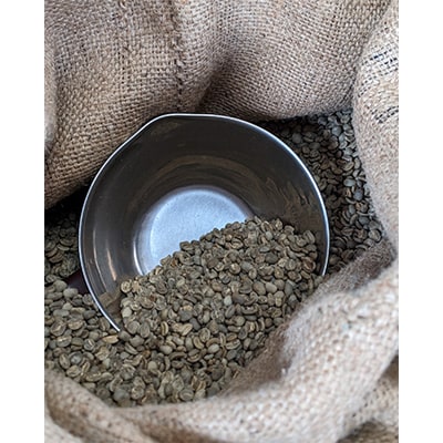 【毎月定期便】お楽しみ　厳選珈琲豆100g　 粉(中挽き)×2種類セット全3回