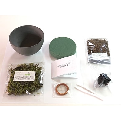 三州モスポット(sanshu moss pot) 