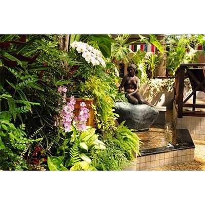 安城産業文化公園デンパーク　入園チケット(4名様分)