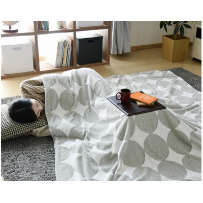 愛知県安城市　天板付き一人用こたつ　MPQ-102B(B)