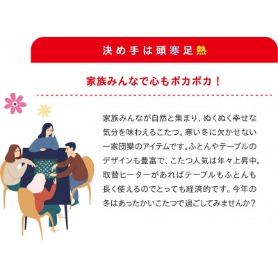 愛知県安城市　こたつ用取替ヒーターMCU-501EC(KB)