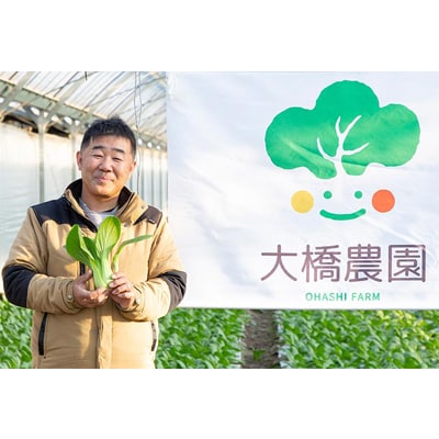 安城市産チンゲン菜フランクフルト5本×2袋【配送不可地域：離島】