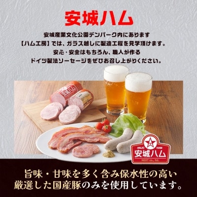 「豚肉を楽しむ」 安城ハム ソーセージ等 5種贅沢詰め合わせ!DJセット　デンパークハム工房内製造【配送不可地域：離島】