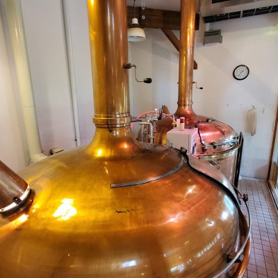 DENZOOLAND飲み比べ8本詰め合わせセット【配送不可地域：離島】