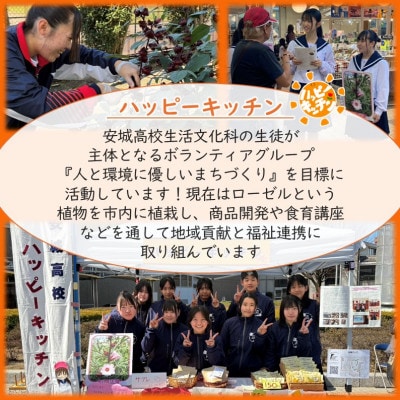 デンパーク入園券2枚+ローゼルジェラート引換券2枚+パン作り体験1枚+ソーセージ引換券/愛知県安城市
