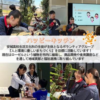 デンパーク入園券2枚+ローゼルジェラート引換券2枚+スノードーム作り体験券1枚/愛知県安城市