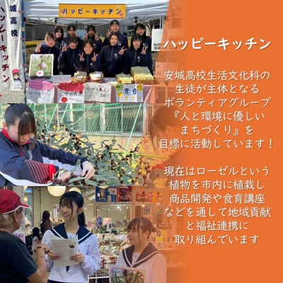 デンパーク入園券2枚+ローゼルジェラート引換券2枚+クッキー作り体験券1枚/愛知県安城市