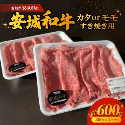 愛知県安城市産　安城和牛　カタまたはモモすき焼き用　300g×2パック【配送不可地域：離島】