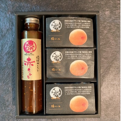 醗の赤生タレ　醗酵ブレンド　1本+ミネラル醗酵梅ソース3個(化粧箱入り)【配送不可地域：離島】