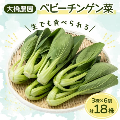 大橋農園のベビーチンゲン菜:3株入り×6袋【配送不可地域：離島】