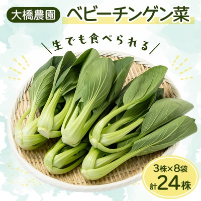 大橋農園のベビーチンゲン菜:3株入り×8袋【配送不可地域：離島】