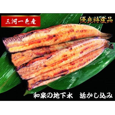 三河一色産　うなぎ白焼き　2尾【配送不可地域：離島】