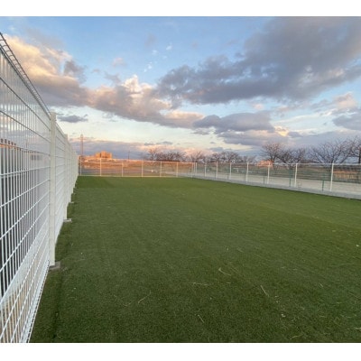 殺処分ゼロを目指そう!ドックラン年間パスポート