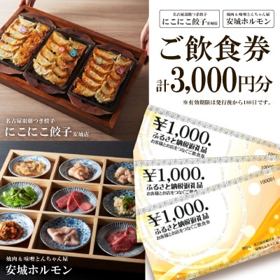 名古屋羽根つき餃子にこにこ餃子安城店と焼肉＆味噌とんちゃん屋安城ホルモンのご飲食券