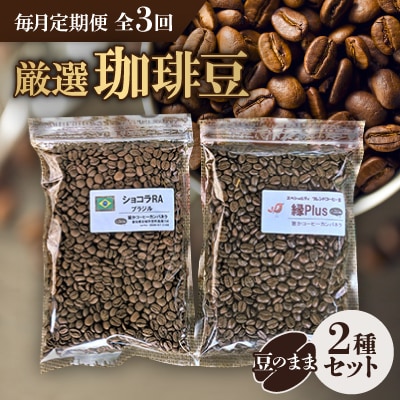 【毎月定期便】お楽しみ　厳選珈琲豆100g(豆のまま)×2種類セット全3回