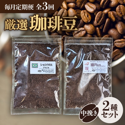 【毎月定期便】お楽しみ　厳選珈琲豆100g　 粉(中挽き)×2種類セット全3回
