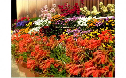 メーデル培養土56Ｌ（14L×4袋）A017-19