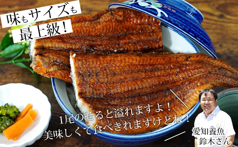 国産 三河産 うなぎ 超おばけサイズ 蒲焼き 2尾 (合計500g以上) 国産うなぎ 本格 鰻 ウナギ 蒲焼 愛知県 西尾市 愛知養魚 たれ付き 惣菜 海鮮 丑の日 土用の丑の日