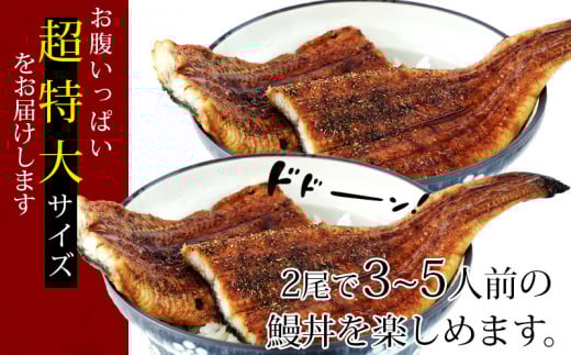 【定期便】三河産うなぎ「超特大蒲焼き2尾(合計400～420g)」×6回(隔月1回　1年間)・A133-108  うなぎ 国産 本格 鰻 ウナギ 蒲焼 愛知県 西尾市 愛知養魚