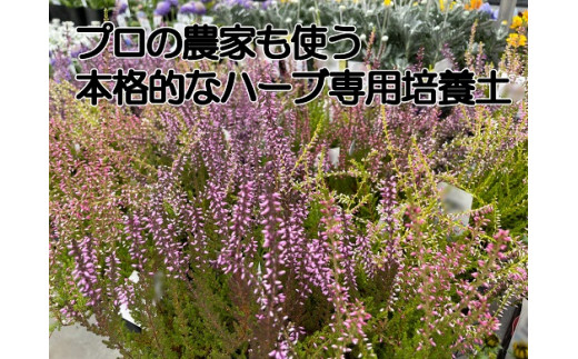 ハーブ専用メーデル培養土 40L・A151-13
