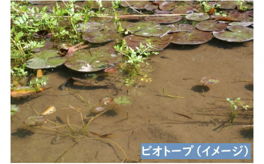 荒木田土20Kg (約17L) 1袋・A163-17