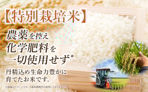 【令和7年産】特別栽培米西尾産コシヒカリ《ぬくもり》【5kg/袋×1袋】・D024-18
