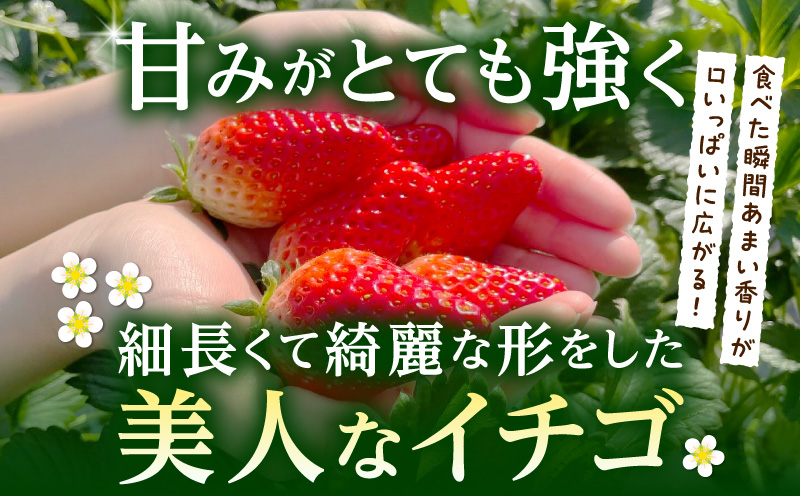 【12月限定価格】章姫(あきひめ)イチゴ15粒×1ケース・D033_c2