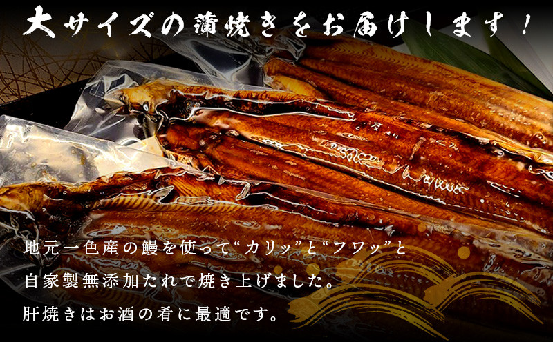 三河一色鰻(中サイズ)蒲焼き3尾+銀たら照焼き3切れセット・F029