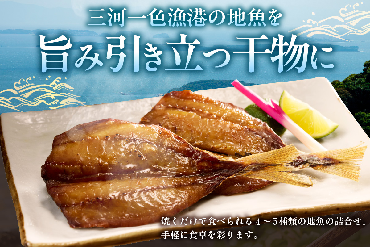 西尾の地魚干物セット・K015-13