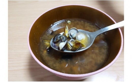 天然しじみ2.5kg（500ｇ×5）・K067-13