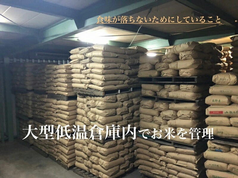 【令和7年産】西尾産翔米（こしひかり）10kg・K215-29