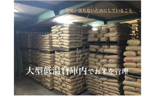 【令和7年産】西尾のお米【翔米】5kg(あいちのかおり)・K219-17