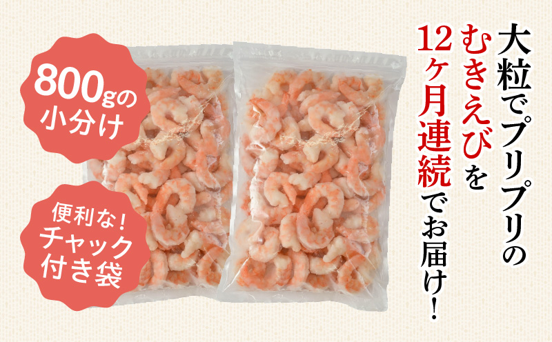 【定期便12回】特大大盛むきえび1.6kg（正味）《配達不可エリア：北海道・沖縄・離島》・K304