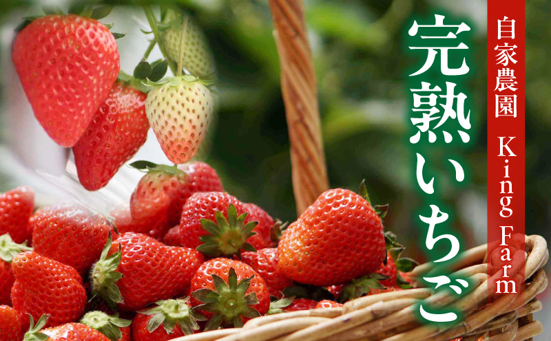 バウムクーヘン　いちご・K312